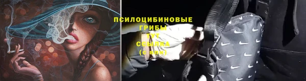 apvp Белоозёрский