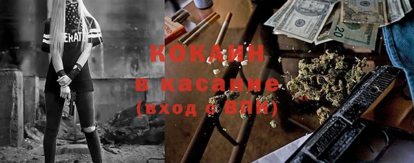 сатива Богданович